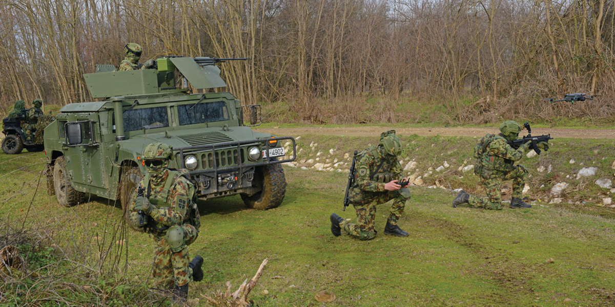 ČUVARI MIRA I STABILNOSTI
